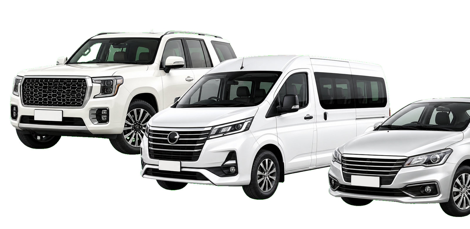 Fleet of vehicles